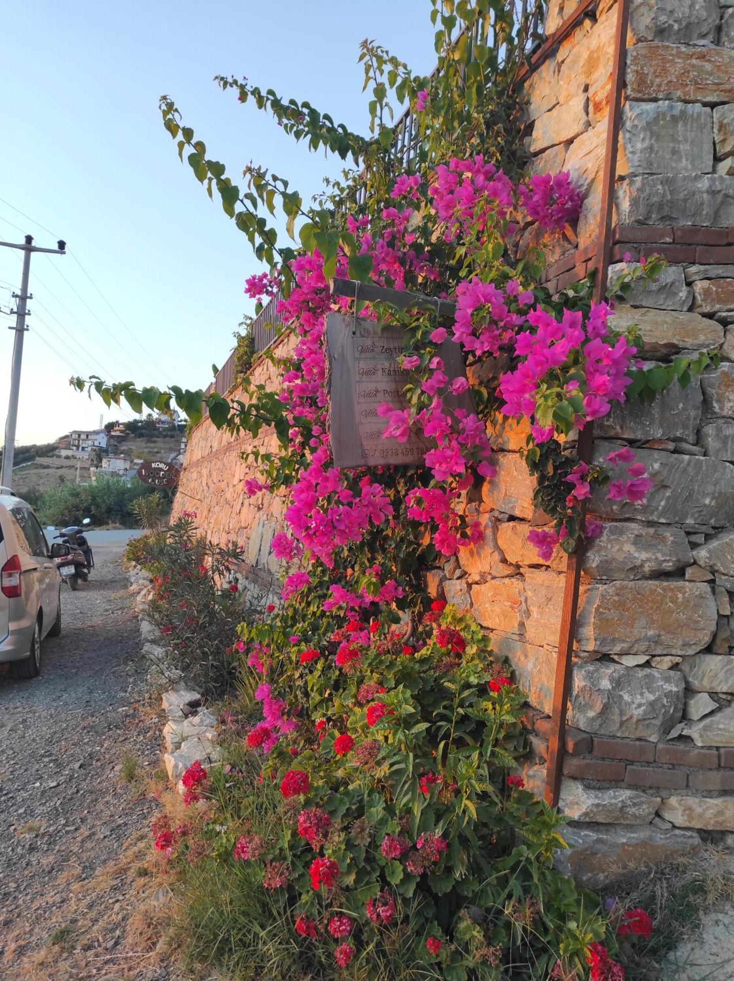 Koruwoodenhouse Alanya Villa *